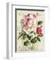 Garden View III-Lisa Audit-Framed Art Print