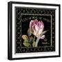 Garden View VI-Lisa Audit-Framed Art Print