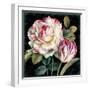 Garden View VIII Black-Lisa Audit-Framed Art Print