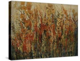 Garden View-Tim O'toole-Stretched Canvas