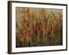 Garden View-Tim O'toole-Framed Giclee Print