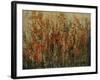 Garden View-Tim O'toole-Framed Giclee Print