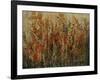 Garden View-Tim O'toole-Framed Giclee Print