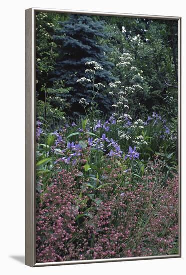 Garden View-Anna Miller-Framed Photographic Print