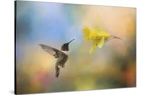 Garden Visitor-Jai Johnson-Stretched Canvas