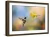 Garden Visitor-Jai Johnson-Framed Giclee Print