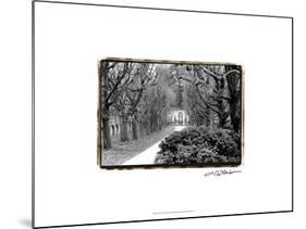 Garden Walk-Laura Denardo-Mounted Art Print