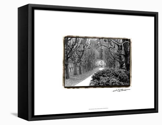 Garden Walk-Laura Denardo-Framed Stretched Canvas