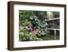 Garden Waterfall, Panxi Restaurant, Lichi Bay, Guangzhou, China-Stuart Westmorland-Framed Photographic Print