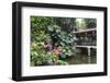 Garden Waterfall, Panxi Restaurant, Lichi Bay, Guangzhou, China-Stuart Westmorland-Framed Photographic Print