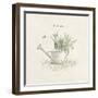 Garden Watering Can-Cheri Blum-Framed Art Print