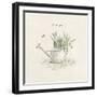 Garden Watering Can-Cheri Blum-Framed Art Print