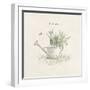 Garden Watering Can-Cheri Blum-Framed Art Print