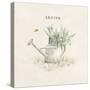 Garden Watering Can-Cheri Blum-Stretched Canvas