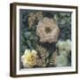 Garden Window - Soft Florals-Collezione Botanica-Framed Giclee Print