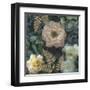 Garden Window - Soft Florals-Collezione Botanica-Framed Giclee Print