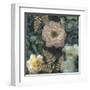 Garden Window - Soft Florals-Collezione Botanica-Framed Giclee Print