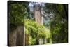 Garden with a Medieval Tower-George Oze-Stretched Canvas