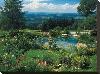Garden With A View-null-Stretched Canvas