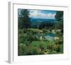 Garden With A View-null-Framed Art Print