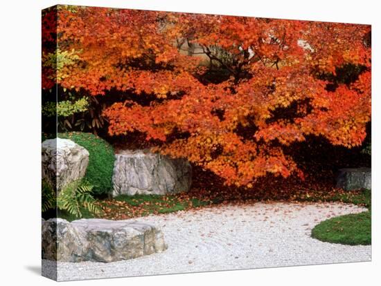 Garden with Autumn Leaves at Tenjuan, Nanzen-Ji Temple, Kyoto, Japan-null-Stretched Canvas