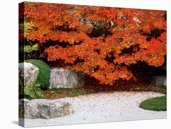 Garden with Autumn Leaves at Tenjuan, Nanzen-Ji Temple, Kyoto, Japan-null-Stretched Canvas