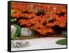 Garden with Autumn Leaves at Tenjuan, Nanzen-Ji Temple, Kyoto, Japan-null-Framed Stretched Canvas