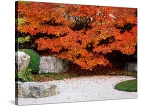 Garden with Autumn Leaves at Tenjuan, Nanzen-Ji Temple, Kyoto, Japan-null-Stretched Canvas