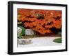 Garden with Autumn Leaves at Tenjuan, Nanzen-Ji Temple, Kyoto, Japan-null-Framed Photographic Print