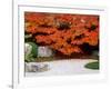 Garden with Autumn Leaves at Tenjuan, Nanzen-Ji Temple, Kyoto, Japan-null-Framed Photographic Print