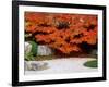 Garden with Autumn Leaves at Tenjuan, Nanzen-Ji Temple, Kyoto, Japan-null-Framed Photographic Print