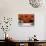 Garden with Autumn Leaves at Tenjuan, Nanzen-Ji Temple, Kyoto, Japan-null-Photographic Print displayed on a wall