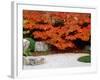 Garden with Autumn Leaves at Tenjuan, Nanzen-Ji Temple, Kyoto, Japan-null-Framed Photographic Print