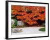 Garden with Autumn Leaves at Tenjuan, Nanzen-Ji Temple, Kyoto, Japan-null-Framed Photographic Print