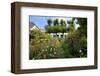 Garden with Country House in the Urban District of Blankenese, Hamburg, Germany-null-Framed Premium Giclee Print