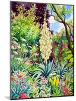 Garden with Flowering Yucca-Christopher Ryland-Mounted Giclee Print
