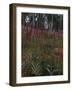 Garden with Foxgloves-Eug?ne Boudin-Framed Giclee Print