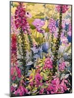 Garden with Foxgloves-Christopher Ryland-Mounted Giclee Print