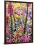 Garden with Foxgloves-Christopher Ryland-Framed Giclee Print