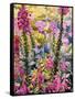 Garden with Foxgloves-Christopher Ryland-Framed Stretched Canvas