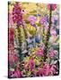 Garden with Foxgloves-Christopher Ryland-Stretched Canvas