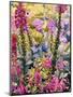 Garden with Foxgloves-Christopher Ryland-Mounted Giclee Print