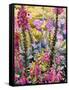 Garden with Foxgloves-Christopher Ryland-Framed Stretched Canvas