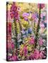 Garden with Foxgloves-Christopher Ryland-Stretched Canvas