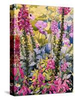 Garden with Foxgloves-Christopher Ryland-Stretched Canvas