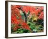 Garden with Maple Trees in Enkouin Temple, Autumn, Kyoto, Japan-null-Framed Photographic Print