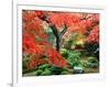 Garden with Maple Trees in Enkouin Temple, Autumn, Kyoto, Japan-null-Framed Photographic Print