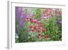 Garden with Purple Coneflowers, Red Bee Balm, and Purple Lythrum, Marion County, Illinois-Richard and Susan Day-Framed Photographic Print