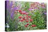 Garden with Purple Coneflowers, Red Bee Balm, and Purple Lythrum, Marion County, Illinois-Richard and Susan Day-Stretched Canvas