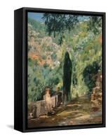 Garden-Eliseo Meifren-Framed Stretched Canvas